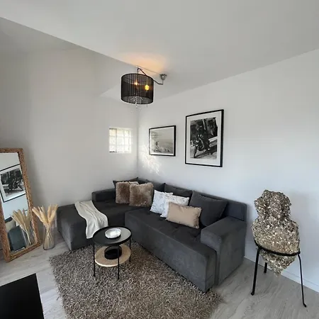 Tino Apartment *